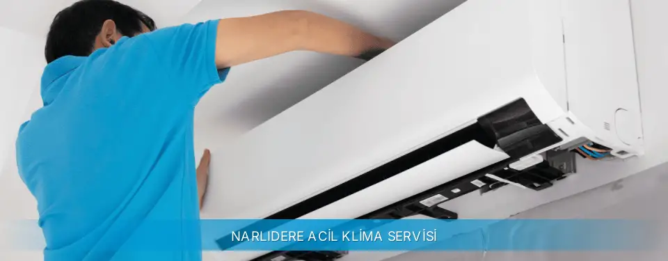 Narlıdere İlçemi Altus Acil Klima Servisi