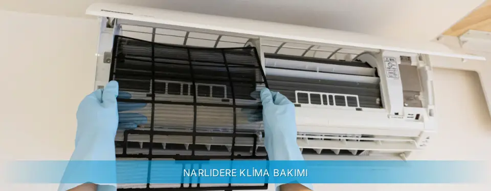 Narlıdere İlçemi Altus Klima Bakımı